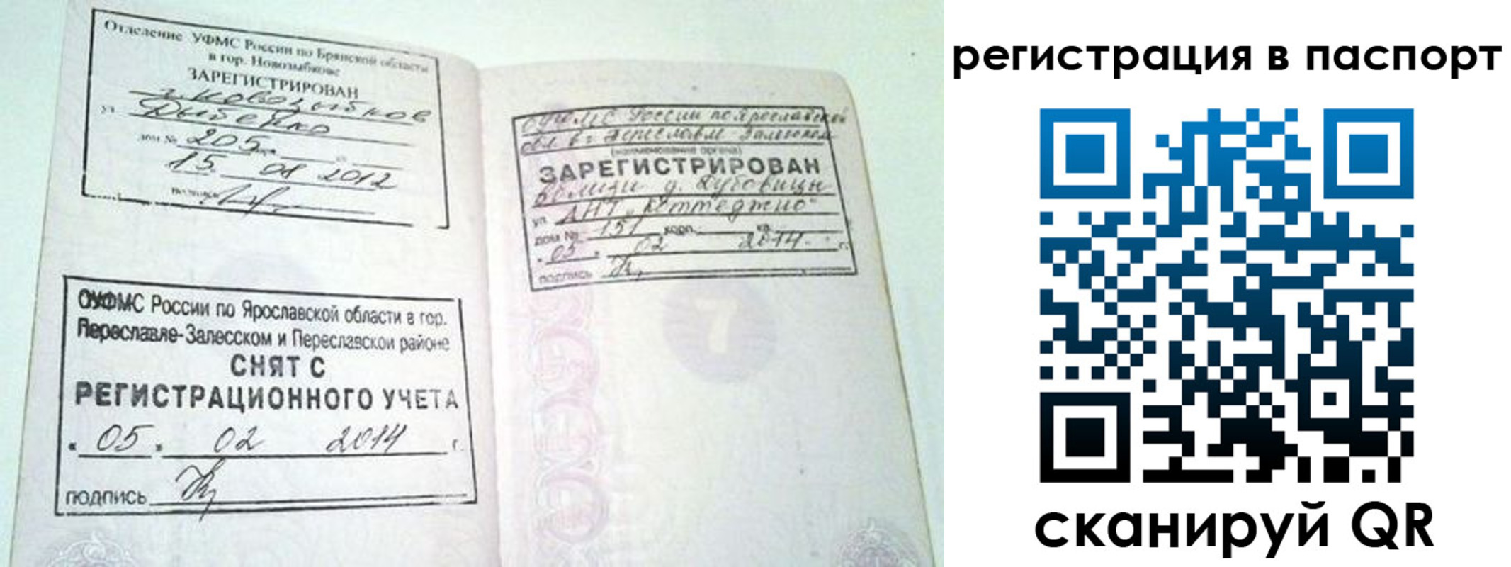 прописка в квартире в Завитинске